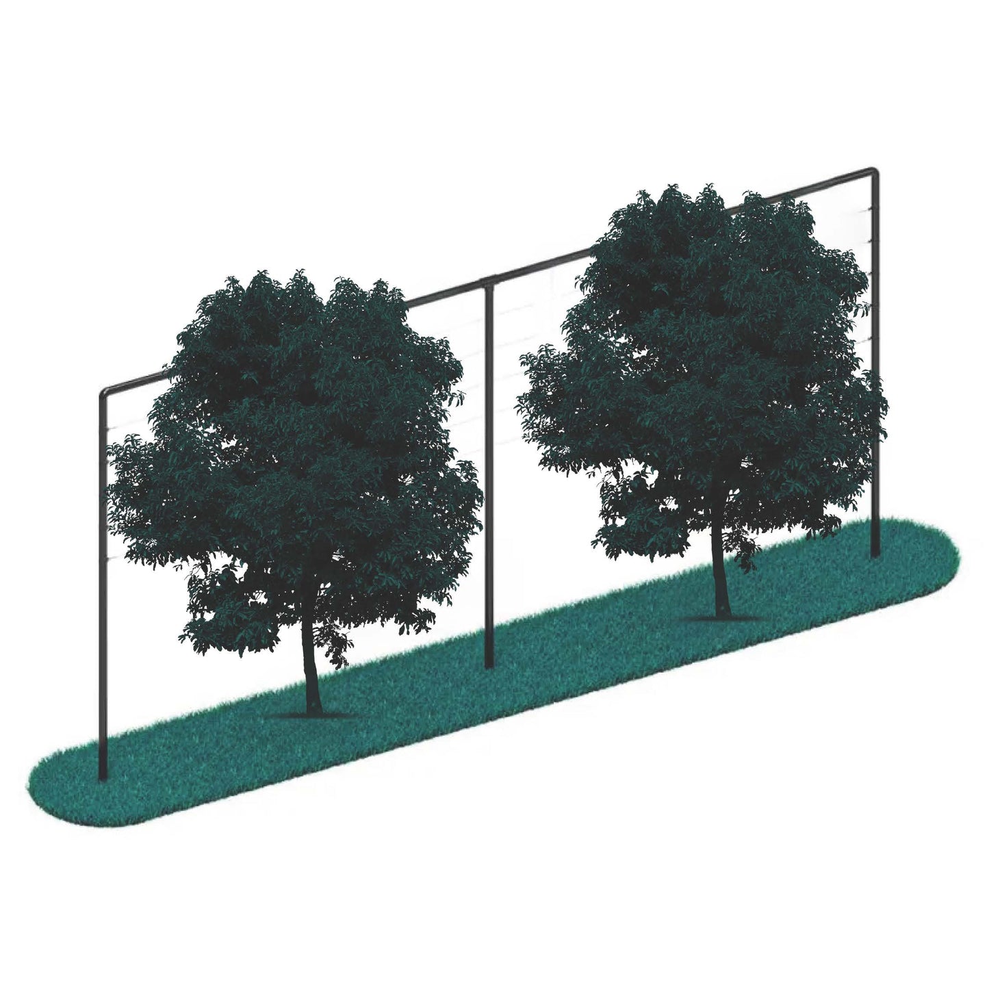 Leiboom_frame_6_meter hek-kopen