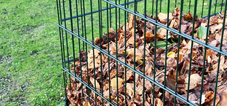 Bladkorf-gevuld hek-kopen