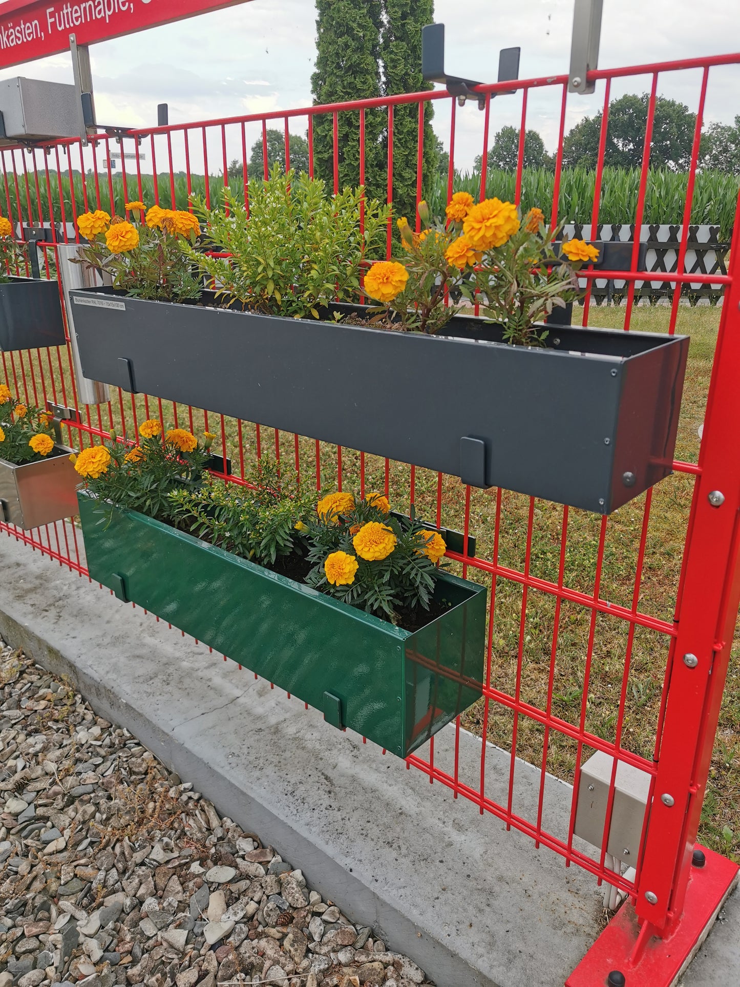 Roestvrijstaal bloemenbak hek-kopen