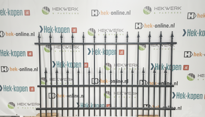 Spijlenhekwerk Amethyst – Complete pakket - Antracietgrijs Mat