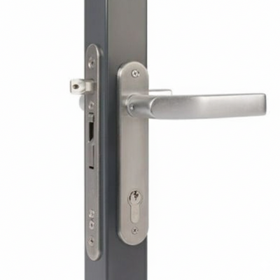 Insteek slot hek-kopen