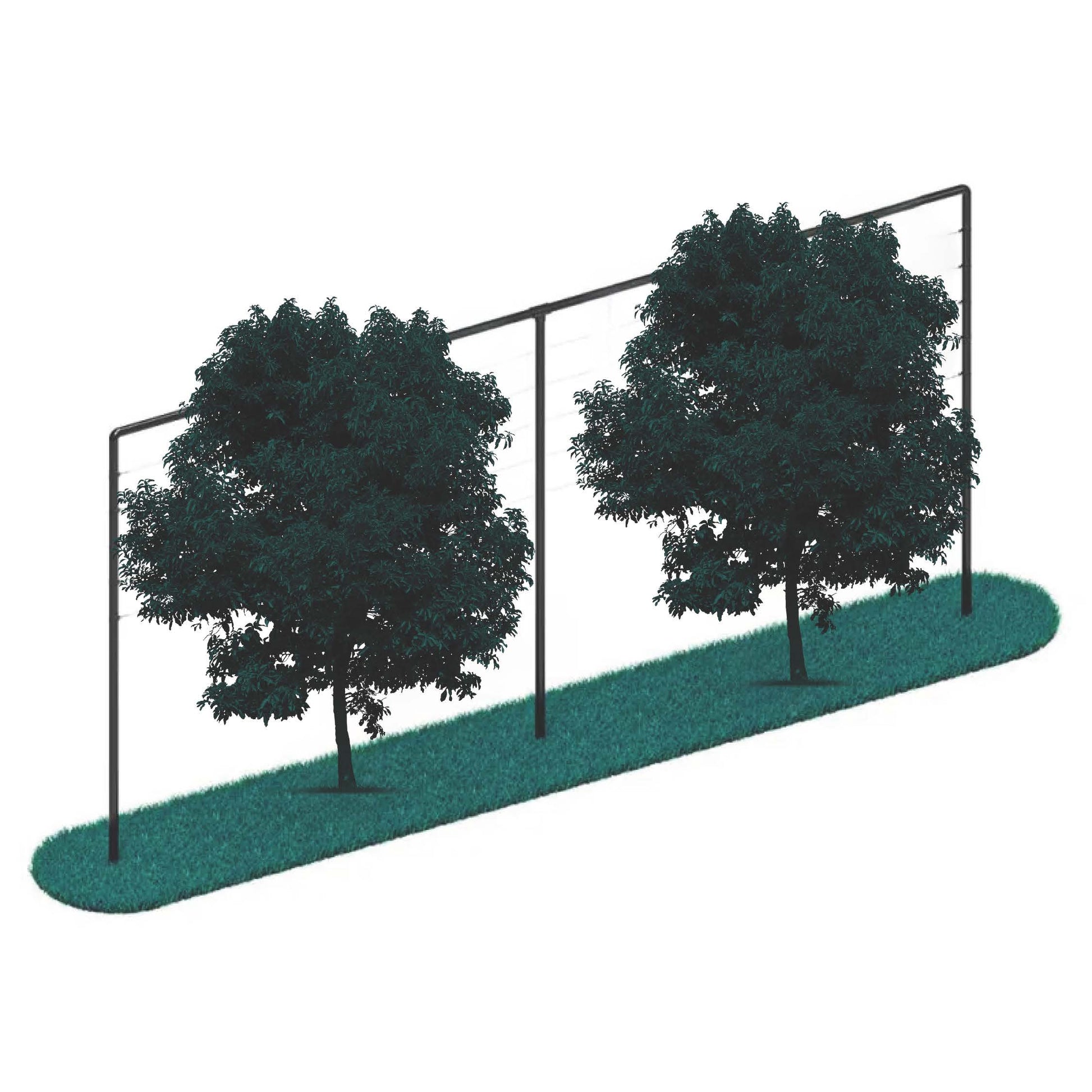 Leiboom_frame_6_meter hek-kopen